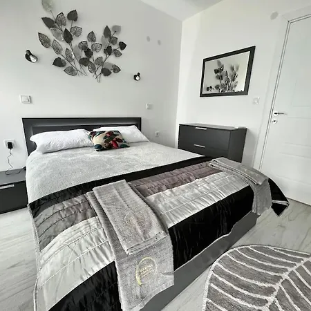 Marino Liberta South Обзор