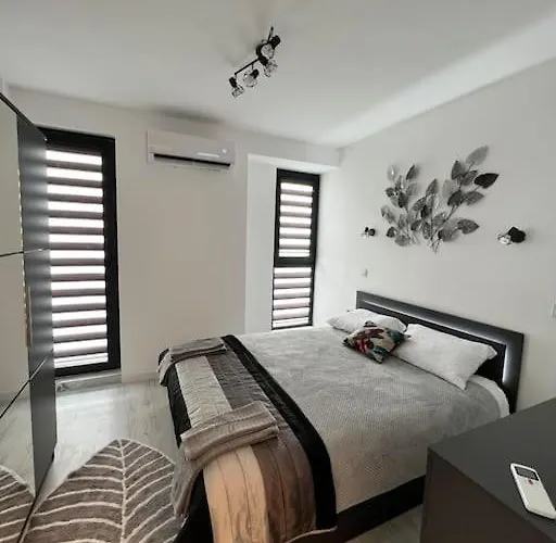 Marino Liberta South *